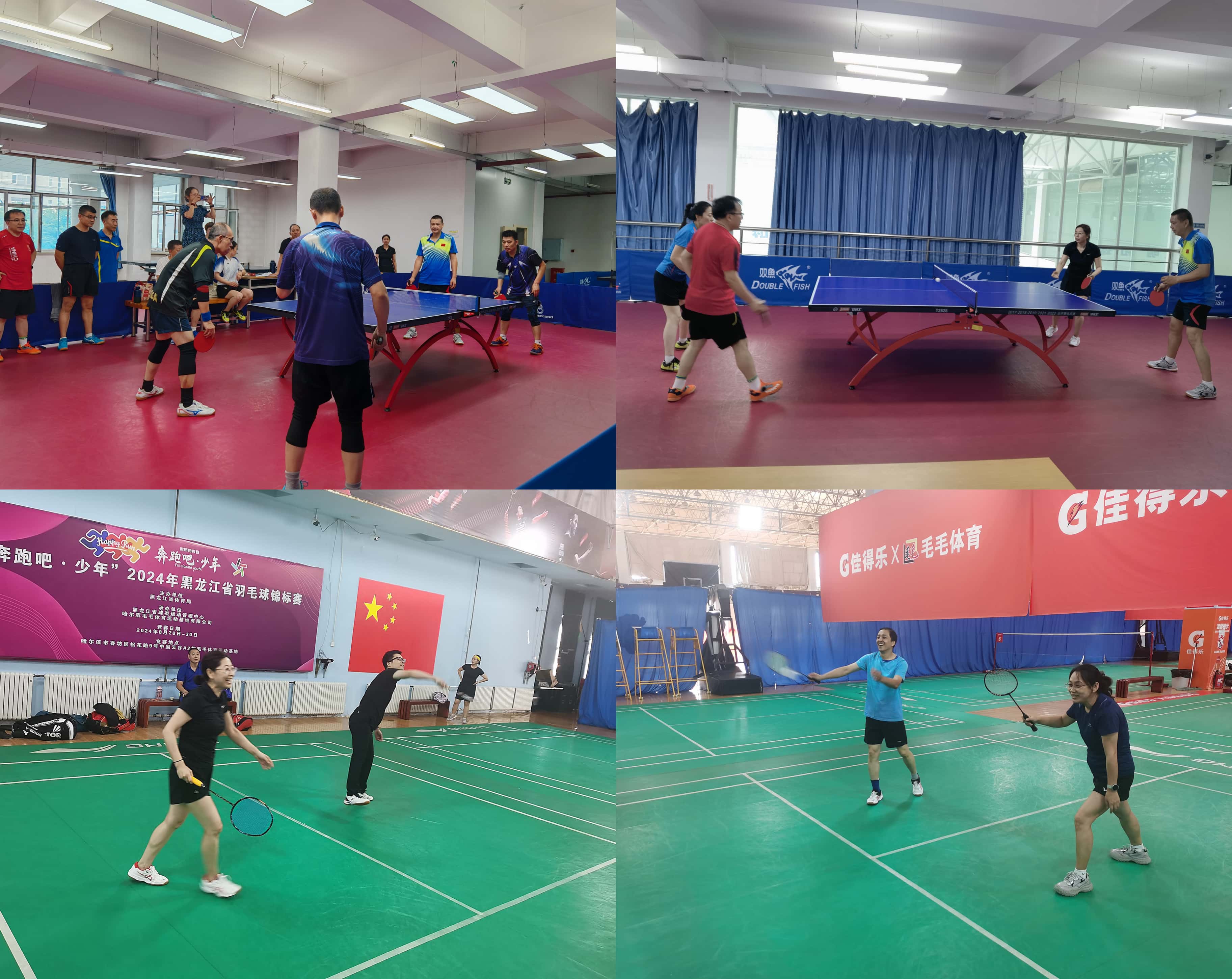 乒羽壓縮合圖.jpg