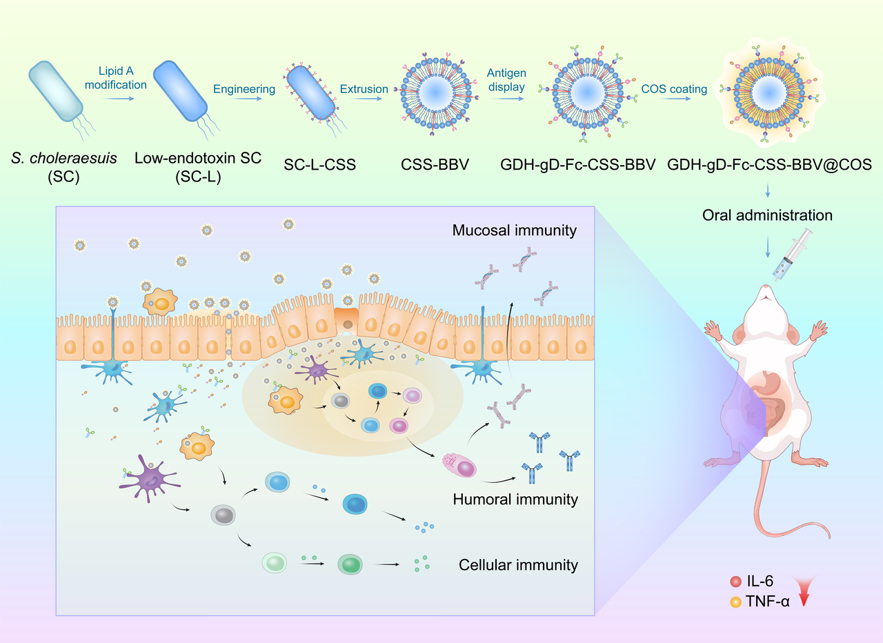 19bba5edde1d0926cb85775fa07af31.jpg 19bba5edde1d0926cb85775fa07af31.jpg